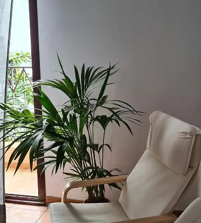 Apartmán Coolivingc