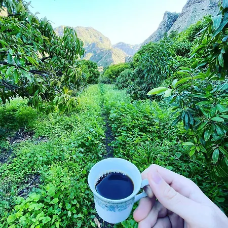 Apartament Coolivingc *